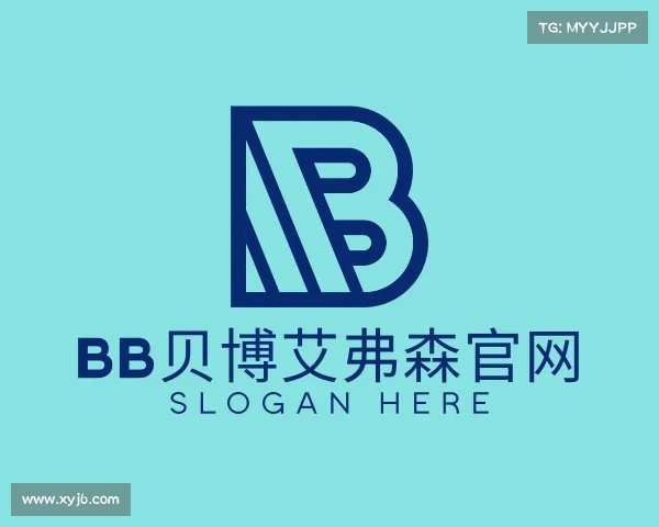 介绍BB贝博艾弗森官网